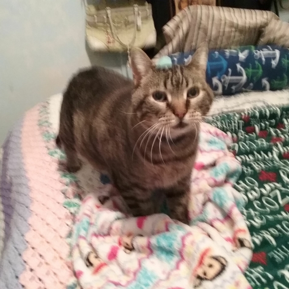 Meet your Posher, La veta - Picture 3 of 7